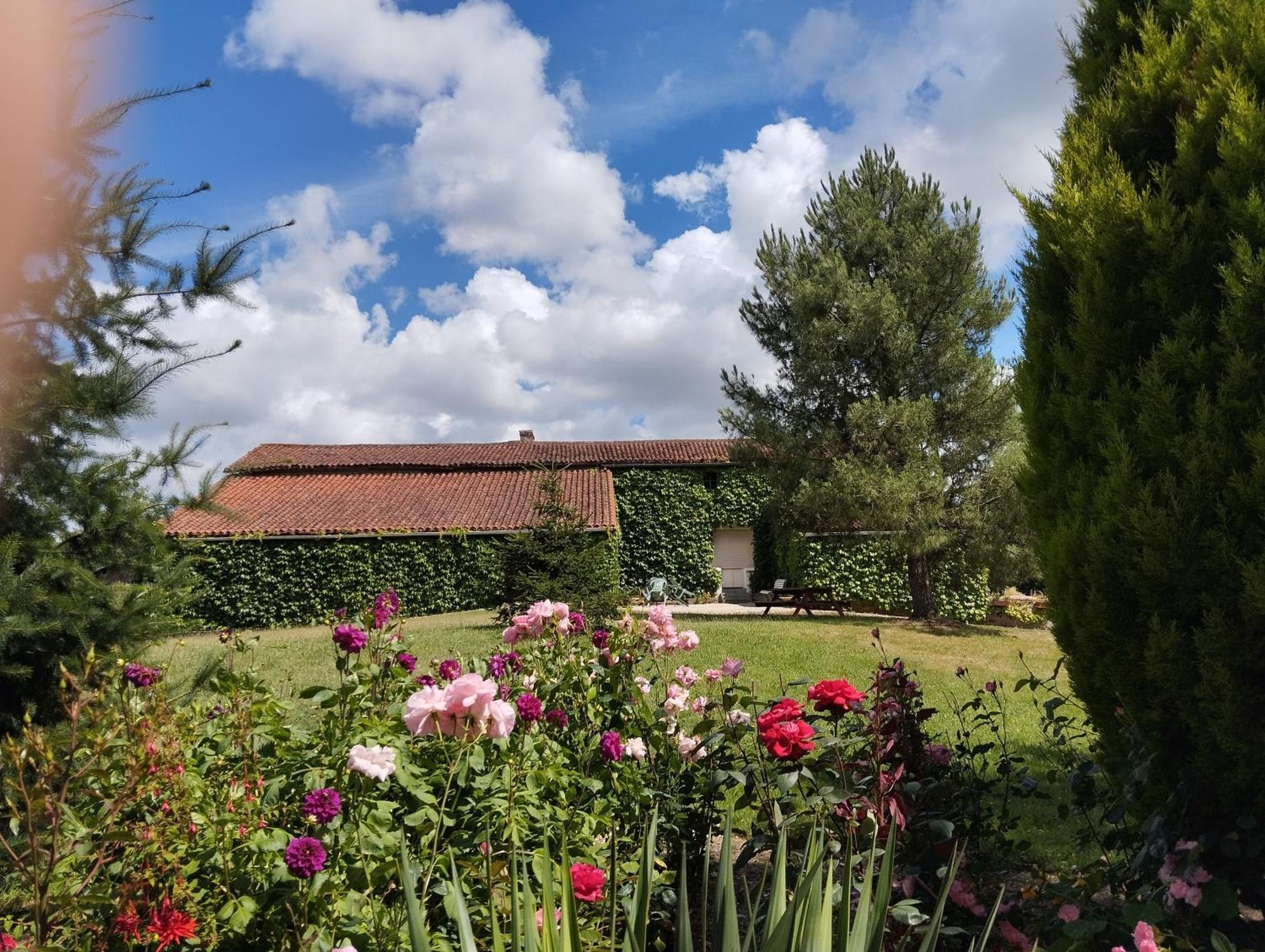 Maison Au Calme Avec Vue Etang Clesse  Exterior foto